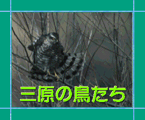 TITLE �O���̒�����